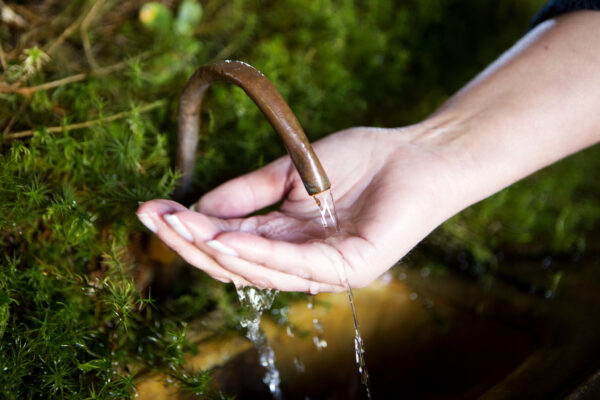 Drick källvatten direkt från källan