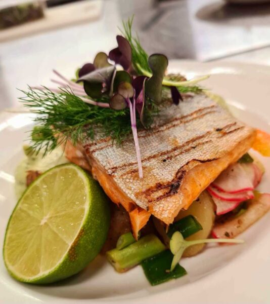 Halstrad fjällröding