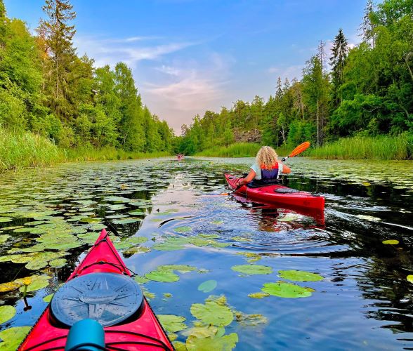 Utflykter i närområdet